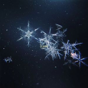 国产精品每日在线观看
